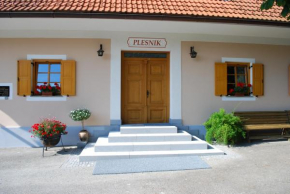 Farm Stay Rotovnik - Plesnik